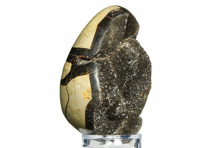 Septarian Dragon Egg Geode - Sparkly Black Crystals #308810